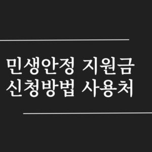 민생 안정 지원금
