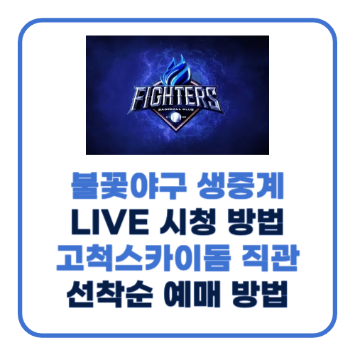 불꽃 야구
